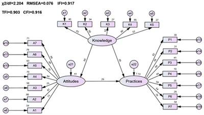 Cross-sectional study of pharmacovigilance knowledge, attitudes, and practices based on structural equation modeling and network analysis: a case study of healthcare personnel and the public in Yunnan Province